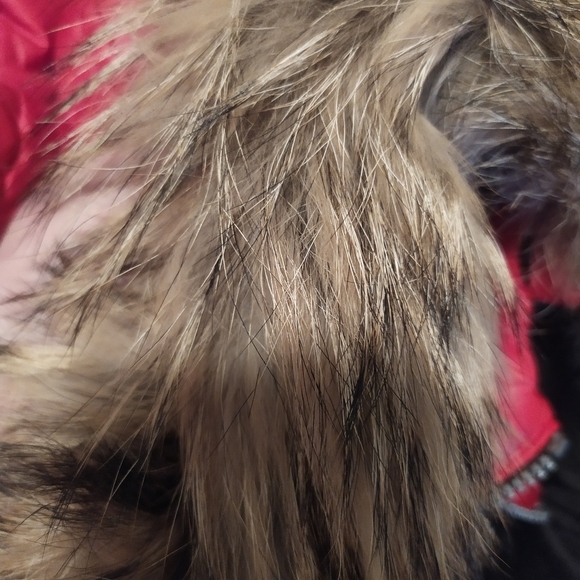 NWOT Marc New York Andew Marc Red Puffer Coyote Fur Hood Large - Picture 11 of 14